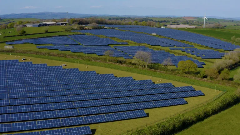 Solaranlage von Octopus Energy - Strom aus Sonnenkraft