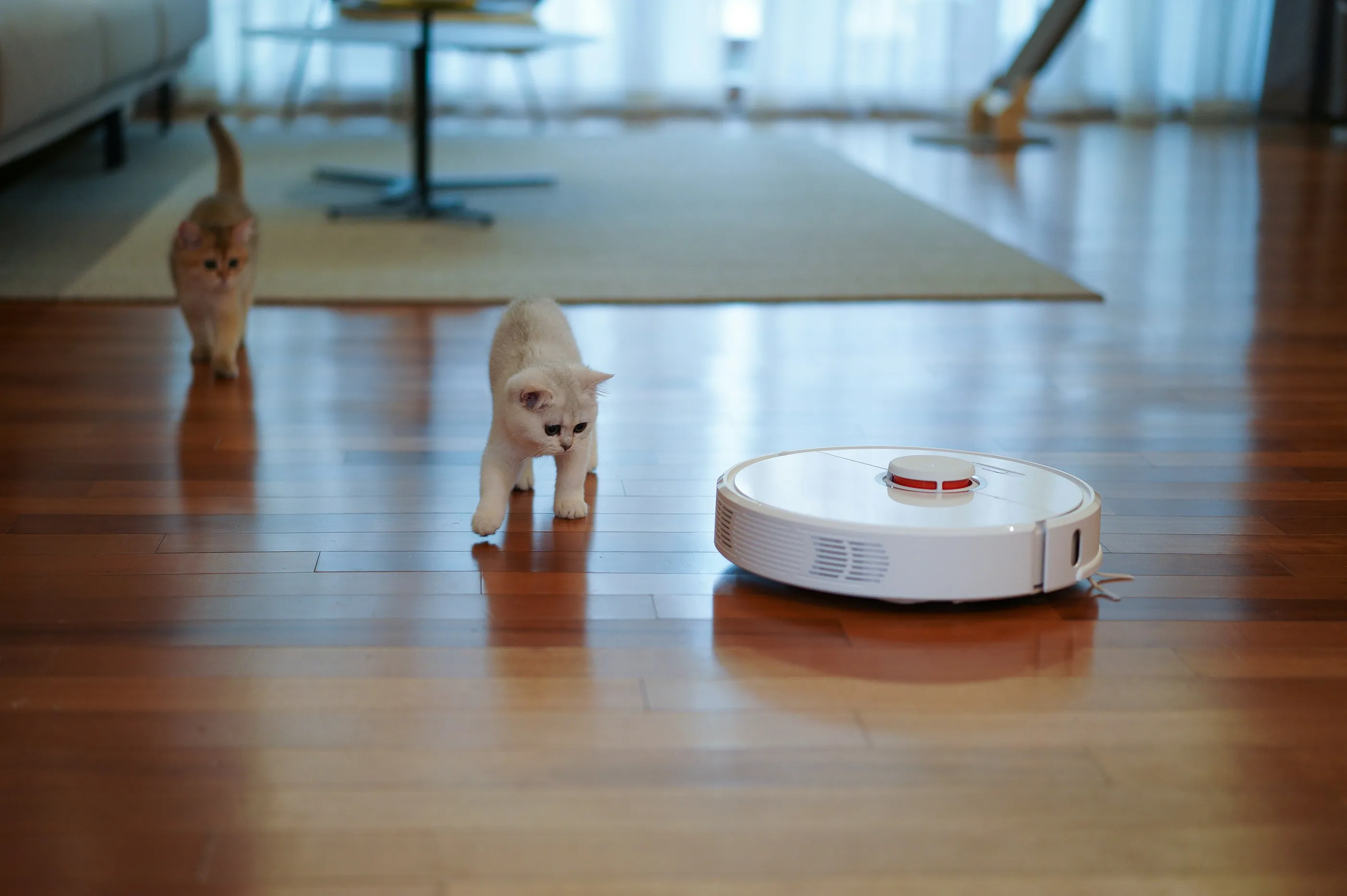 Interaktiver Reinigungsplan mit Home Assistant